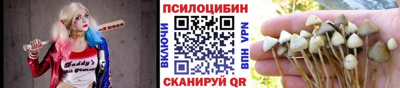 Галлюциногенные грибы Cubensis  Каменка 