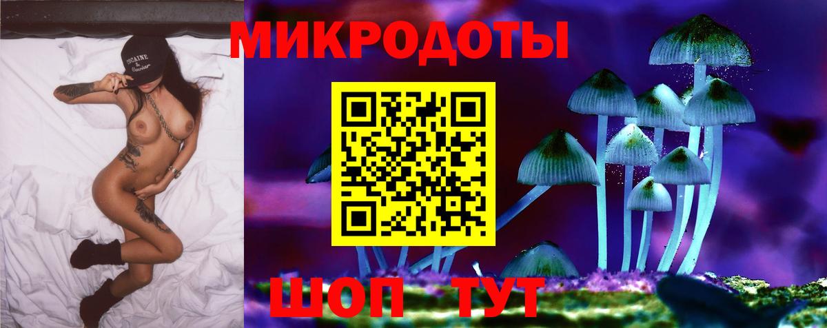 Галлюциногенные грибы Psilocybine cubensis Каменка