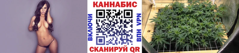 купить наркотик Каменка Каннабис OG Kush