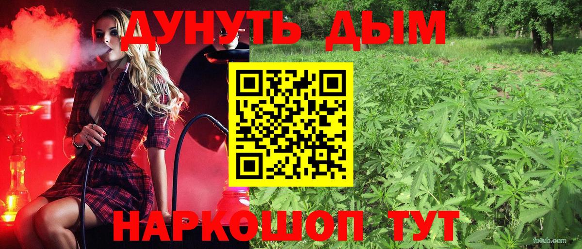 Марихуана Amnesia Каменка